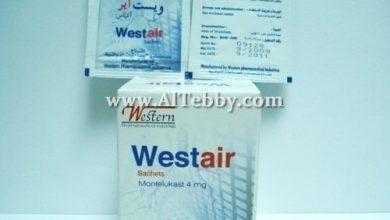 ويستير Westair