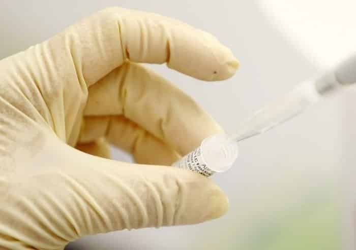 دراسة باحثون يتمكنون من تخليق كائنات حية اصطناعية دراسة باحثون يتمكنون من تخليق كائنات حية اصطناعية