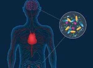 مرض باركنسون قد يبدأ من القناة الهضمية قبل تأثيره على الدماغ
