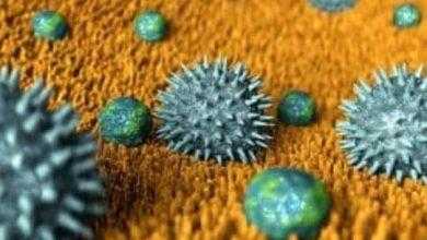 التهاب الأنف التحسسي وقواعد إرشادية حديثة