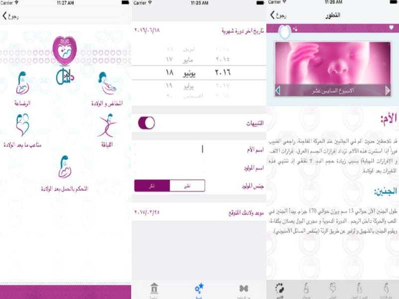 دليل الحمل والولادة دليل الحمل والولادة