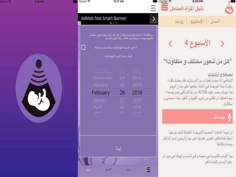 دليل المرأة الحامل دليل المرأة الحامل