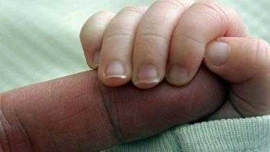 في جامعة كاليفورنيا يتمكنون من استعادة الإحساس عن طريق الخلايا الجذعية