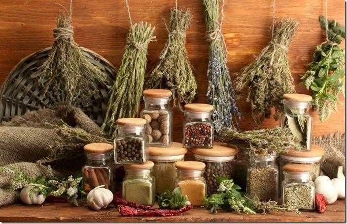 استخدام المكملات العشبية قد يُحدث تفاعلات خطيرة مع بعض الأدوية استخدام المكملات العشبية قد يُحدث تفاعلات خطيرة مع بعض الأدوية