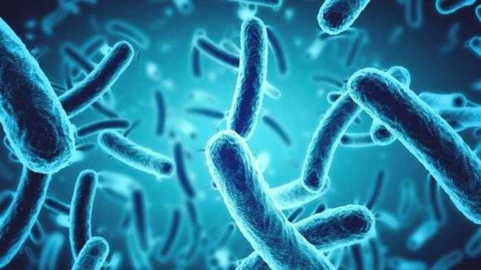 تقرير أممي جديد يحذر من ارتفاع كبير في مستوى البكتريا المقاومة للمضادات الحيوية