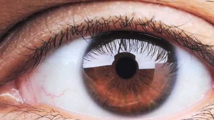 قطرة جديدة للعين قد تحل محل النظارات الطبية نهائيا