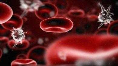 دور غير مُتوقع للصفائح الدموية في المناعة