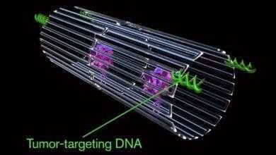 مجهرية قد تحدث ثورة قريبا في مجال علاج الأورام