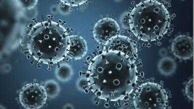 جديد بتقنية النانو يُوفر الحماية التامة ضد فيروس الأنفلونزا من النوع A