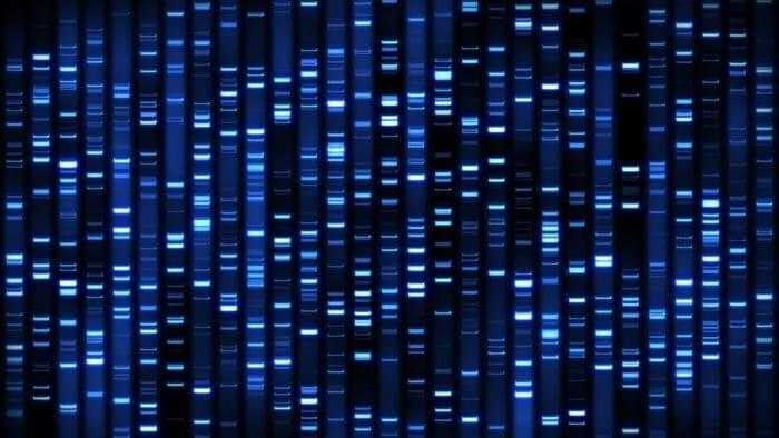 البصمة الوراثية - DNA fingerprinting