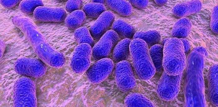 فيتامين (أ) قد يكون طريقنا للقضاء على البكتريا المقاومة للمضادات الحيوية