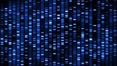 الوراثية DNA fingerprinting