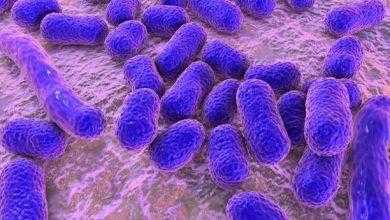 أ قد يكون طريقنا للقضاء على البكتريا المقاومة للمضادات الحيوية