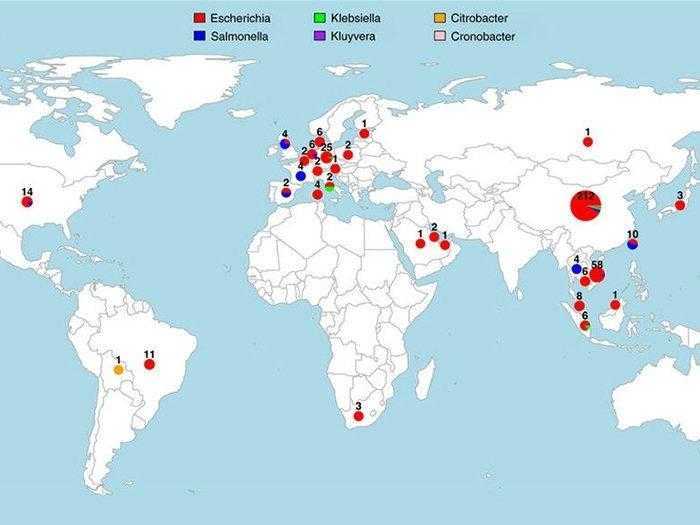 دراسة تحذر من انتشار الجين المقاوم للمضادات الحيوية في جميع أنحاء العالم