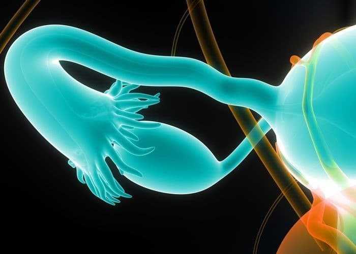 لقاح جديد لسرطان المبيض يحقق نتائج مذهلة في المراحل التجريبية لقاح جديد لسرطان المبيض يحقق نتائج مذهلة في المراحل التجريبية