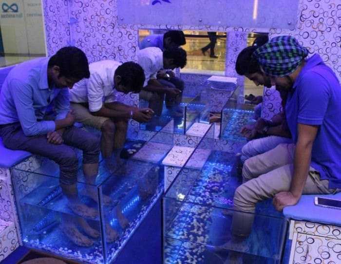 مساج الأسماك قد يساعد في انتشار الإيدز والتهاب الكبد الوبائي