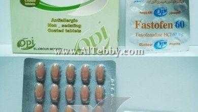 فاستوفن Fastofen
