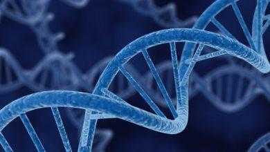 باحثون يتمكنون من القضاء على الطفرات الجينية باستخدام تقنية كريسبر