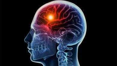 مصاب السكتة الدماغية يتمكن من الحركة مجددًا بعد حقنه بالخلايا الجذعية