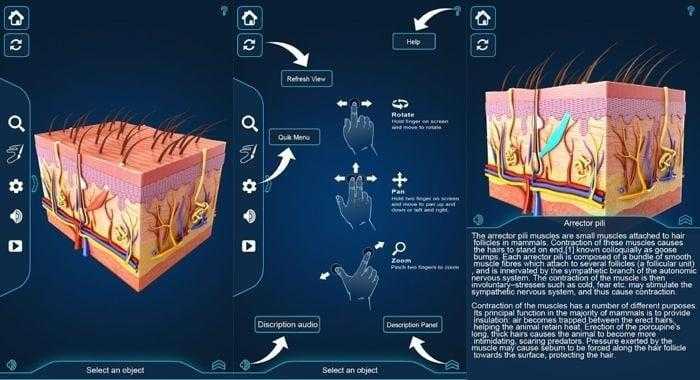 برنامج التركيب التشريحي للجلد - My Skin Anatomy برنامج التركيب التشريحي للجلد - My Skin Anatomy