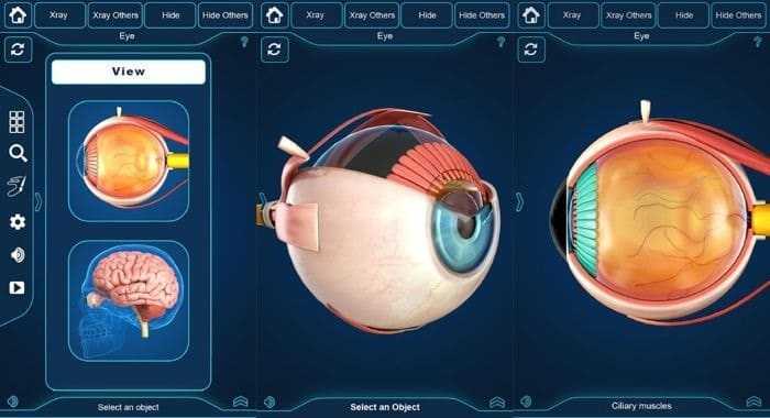 برنامج التركيب التشريحي للعين - My Eye Anatomy