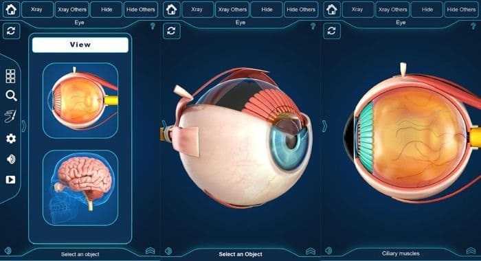 برنامج التركيب التشريحي للعين My Eye Anatomy الدليل الطبي Altebby
