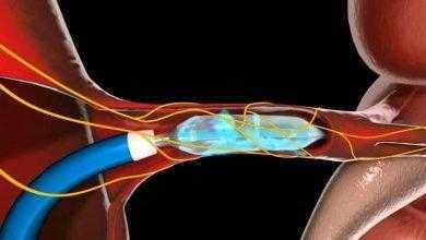 dead ee dead ee f fe