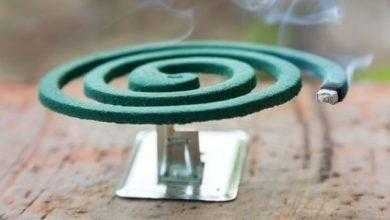 المصرية تحذر من استخدام بخور البعوض بعد وفاة طفلين نتيجة استخدامه