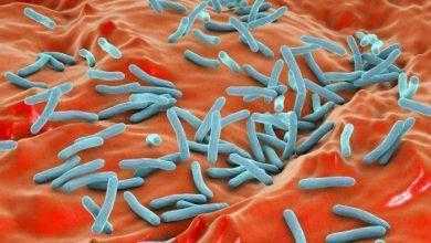 يكتشفون علاقة غير متوقعة بين مرض السل ومرض باركنسون