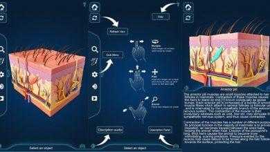 التركيب التشريحي للجلد My Skin Anatomy