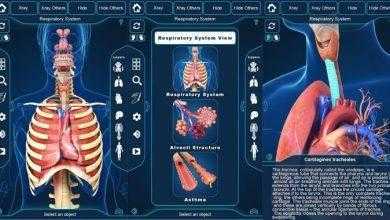 التركيب التشريحي للجهاز التنفسي My Respiratory System Anatomy