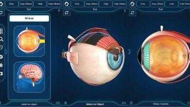 التركيب التشريحي للعين My Eye Anatomy