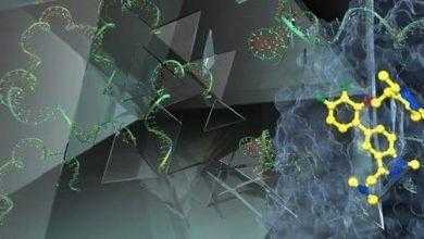 جديد قد يشكل علاجًا جذريًا لنزلات البرد