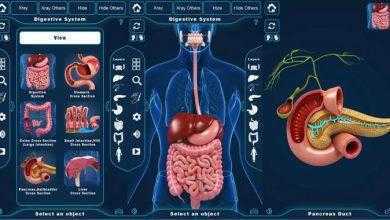برنامج التركيب التشريحي للجهاز الهضمي