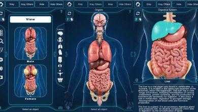 برنامج التركيب التشريحي للأعضاء – Organs Anatomy
