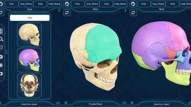 برنامج التركيب التشريحي للجمجمة – My Skull Anatomy