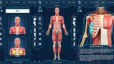 برنامج التركيب التشريحي للعضلات – Muscle Anatomy