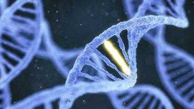 تقنيات تحرير الجينات قد تزيد من خطر الإصابة بالسرطان