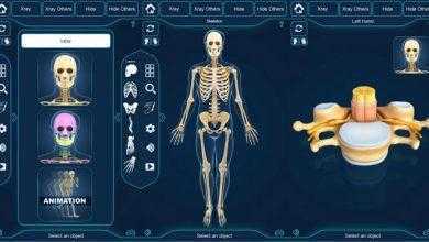 برنامج التركيب التشريحي للهيكل العظمي