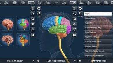 برنامج التركيب التشريحي للدماغ - Brain Anatomy
