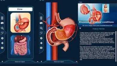 برنامج التركيب التشريحي للمعدة – My Stomach Anatomy