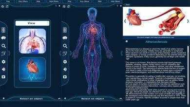 برنامج التركيب التشريحي للجهاز الدوري