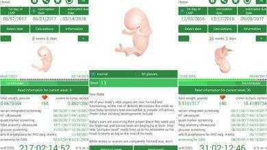 برنامج الحاسبة والجدول الزمني للحمل