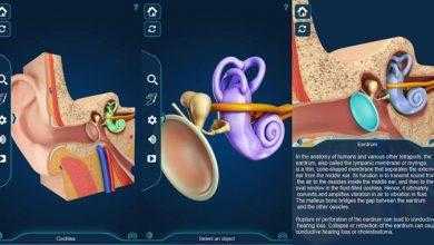 برنامج التركيب التشريحي للأذن – My Ear Anatomy
