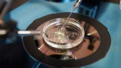 علماء يبتكرون "مبيض اصطناعي" لاستعادة خصوبة النساء بعد علاج السرطان