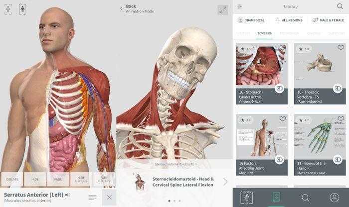 برنامج التشريح الكامل Complete Anatomy الطبي دليل الدواء