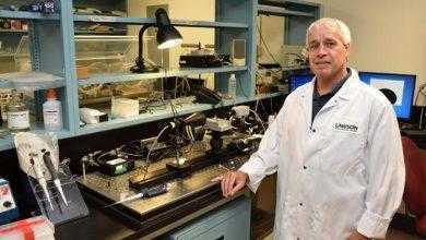 فاعل بالسطح الرئوي صناعي "Surfactant"..مادة جديدة لتسهيل التنفس لدى مرضى الرئة