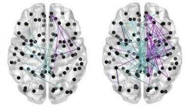 الرضاعة الطبيعية أفضل وسيلة تساعد على نمو أدمغة الأطفال المبتسرين