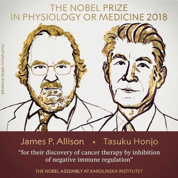 نوبل في الطب 2018