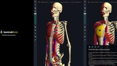 تطبيق teamLabBody لعرض التركيب التشريحي للإنسان